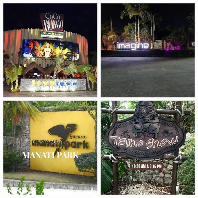 Eco-Friendly Tropical Villa 3Br 2B With Private Pool & Grill 푼타 카나 도미니카 공화국